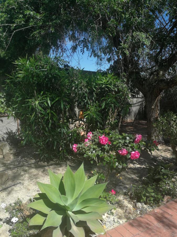Finca San Diego, Villa Entera Para Ti Vallonga Exteriér fotografie
