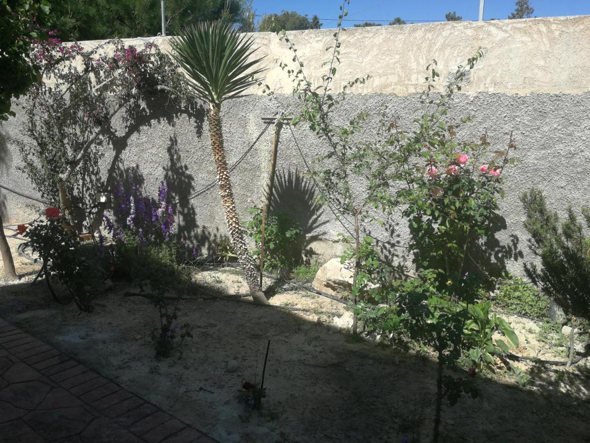 Finca San Diego, Villa Entera Para Ti Vallonga Exteriér fotografie